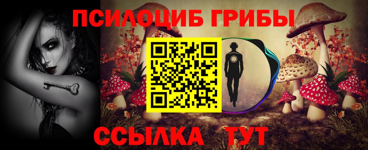 Ревда  Галлюциногенные грибы мухоморы  Вход с VPN 